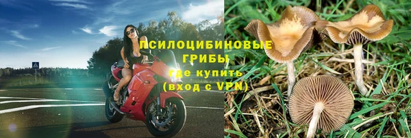 прущие крисы Белокуриха