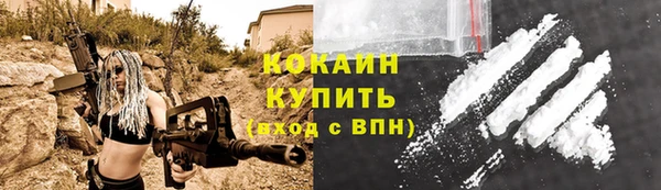 прущие крисы Белокуриха