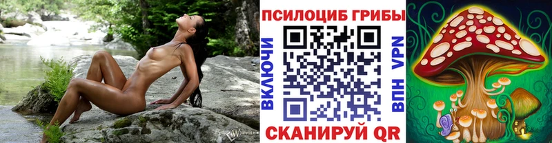 Псилоцибиновые грибы MAGIC MUSHROOMS kraken зеркало Кропоткин где можно купить наркотик